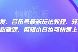 抖音音乐号最新玩法教程 剪辑小白可快速上手解决涨粉难题