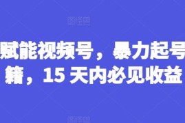 AI工具赋能视频号起号方法 新手零门槛操作15天可获收益