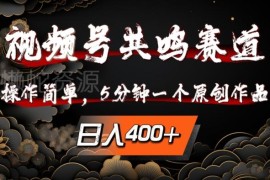 2024视频号共鸣赛道实操玩法 低门槛快速产出原创内容变现攻略