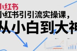 小红书引流实操全阶课程 从小白到运营大神全流程教学