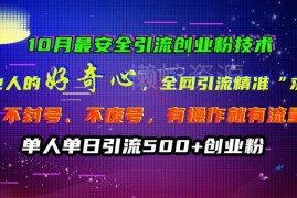 2024年10月安全引流创业粉方法 利用好奇心获精准求带粉不封号