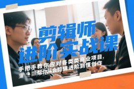 剪辑师进阶实战教程 多行业商业案例教学助你从会剪到懂创作