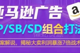 亚马逊SP/SB/SD广告组合打法详解 大卖利润暴涨7倍实操策略