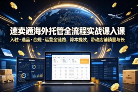 速卖通海外托管全流程实战课 入驻选品合规运营全链路教学