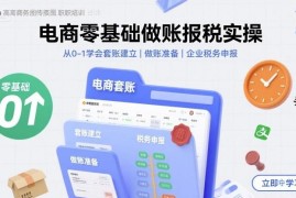 电商零基础做账报税实操教程 从建账到税务申报全流程教学