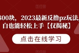 2023最新反撸诈骗玩法全解析 小白零基础也可轻松上手操作