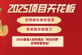 2025普通人知识付费实操指南 低门槛实现财富自由路径详解