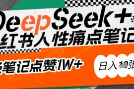 用DeepSeek精准抓用户痛点 零基础写出小红书高赞吸金笔记