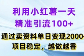 2024小红书精准引流卖项目实操 单日引流百人变现2000+可长期运营