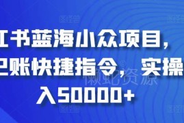 小红书蓝海小众项目：自动记账快捷指令变现实操全教程