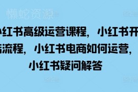 2024小红书电商运营全流程课程 含开店选品实操常见问题解答