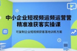 中小企业短视频精准获客实操课 可复制落地运营训练方案