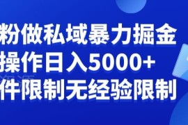 面向负债群体的私域变现项目解析 低门槛小白月入可达五千