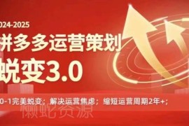 2024-2025拼多多运营策略3.0 0基础从0到1实操避坑指南