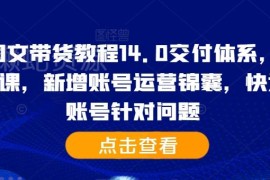 2024抖音图文带货14.0教程 含基础精英课 附账号运营问题解决方案