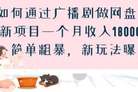 正规广播剧网盘拉新实操玩法分享 新手落地可实现月入18000+