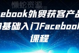 0基础Facebook外贸获客教程 跨境产品出海营销入门课程