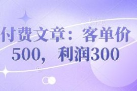 产品优化升级实操经验分享 客单价500利润300项目思路拆解