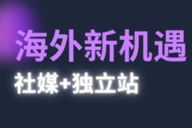 2025跨境出海新机遇 社媒加独立站全流程高效运营实操指南