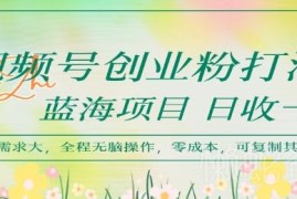 视频号创业粉引流蓝海玩法 低门槛可复制变现操作教程