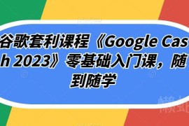 2023版Google Cash谷歌套利零基础入门课 随到随学正规可落地