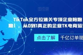 第三期TikTok企业专项陪跑 从0到1掌握全流程电商运营技巧