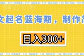 英文定制起名蓝海项目详解 操作简单低门槛单日可创收300元以上