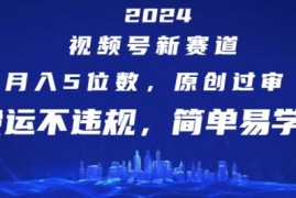 2024视频号中老年内容新赛道 开通创作分成计划获稳定收益