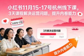 2024年11月杭州小红书3天运营线下课 附音频PPT完整资料