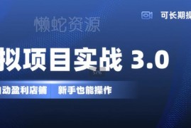 虚拟项目实战3.0教程 新手低投入打造可长期操作的自动盈利店铺