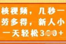 正规视频审核副业项目详解 按单结算时间灵活新手可轻松上手