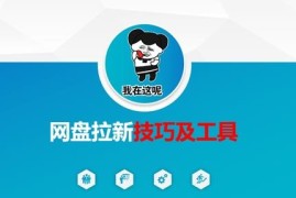 2025网盘拉新实操技巧 工具使用及核心运营逻辑详解