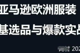 2024-2025跨境电商选品案例汇总 含运营优化及蓝海市场挖掘方法
