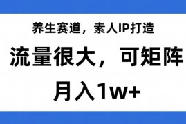 养生赛道素人IP打造实操指南 低门槛可矩阵运营月入过万