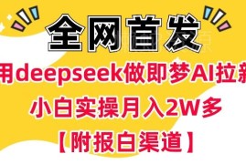 用DeepSeek做即梦AI抖音拉新 小白完整实操教程附报白渠道