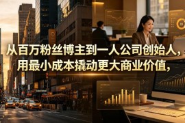 百万粉丝博主转型一人公司创始人 低成本撬动商业价值实操指南
