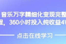 AI音乐精细化变现完整教程 360小时投入获4万纯收益实操方法