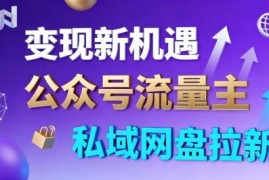 公众号流量主搭配私域网盘拉新玩法 双渠道变现新手当天可获收益