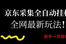 京东全自动采集挂机项目最新玩法 新手入门操作收益详解