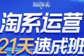 2025年6月更新0基础淘系运营21天速成班 全模块实操可落地