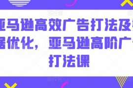 亚马逊高阶广告打法教程 高效投放及数据优化实操指南