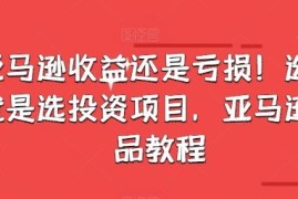 亚马逊选品教程：站点调研避坑旺季选品玩法全指南