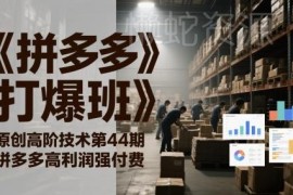 拼多多打爆班第44期 高利润强付费低利润微付费运营实操教程