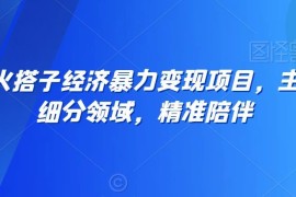 搭子经济垂直细分领域变现项目 低门槛单人可操作玩法全解析