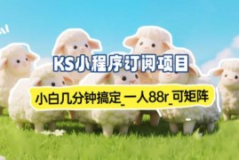 实测可到账小程序订阅副业 小白易上手单账号88元支持矩阵操作