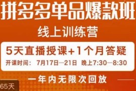 钟辰拼多多单品爆款班教程 5天学会打造超级爆款养活团队