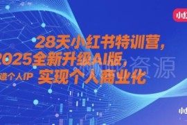 2025全新AI版28天小红书特训营 打造个人IP实现商业变现