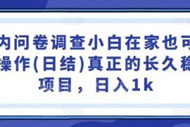 2024国内问卷调查实操教程 小白在家可批量操作日结长期稳定