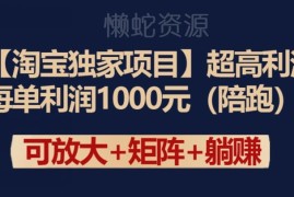 淘宝高利润项目全流程教程 单均利润1000元运营玩法解析