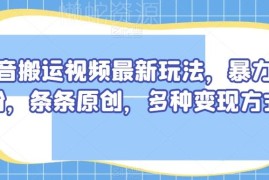 抖音搬运视频最新玩法 零门槛涨粉起号及多种变现方式解析